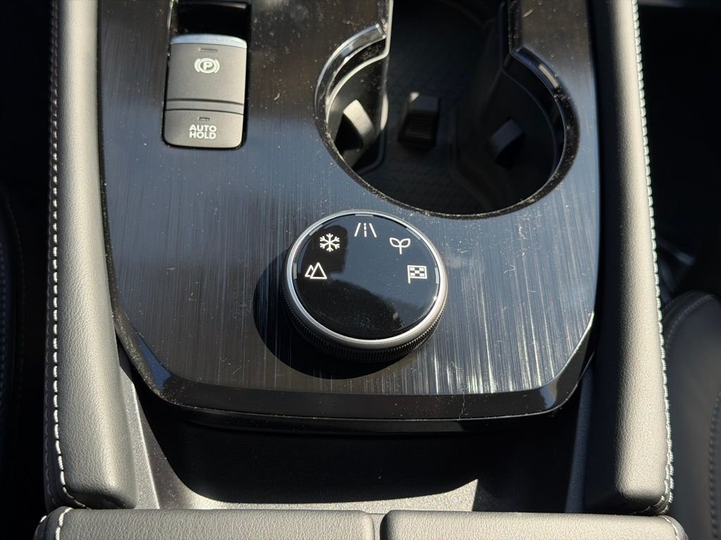 New 2026 Super Black Nissan Platinum image 32
