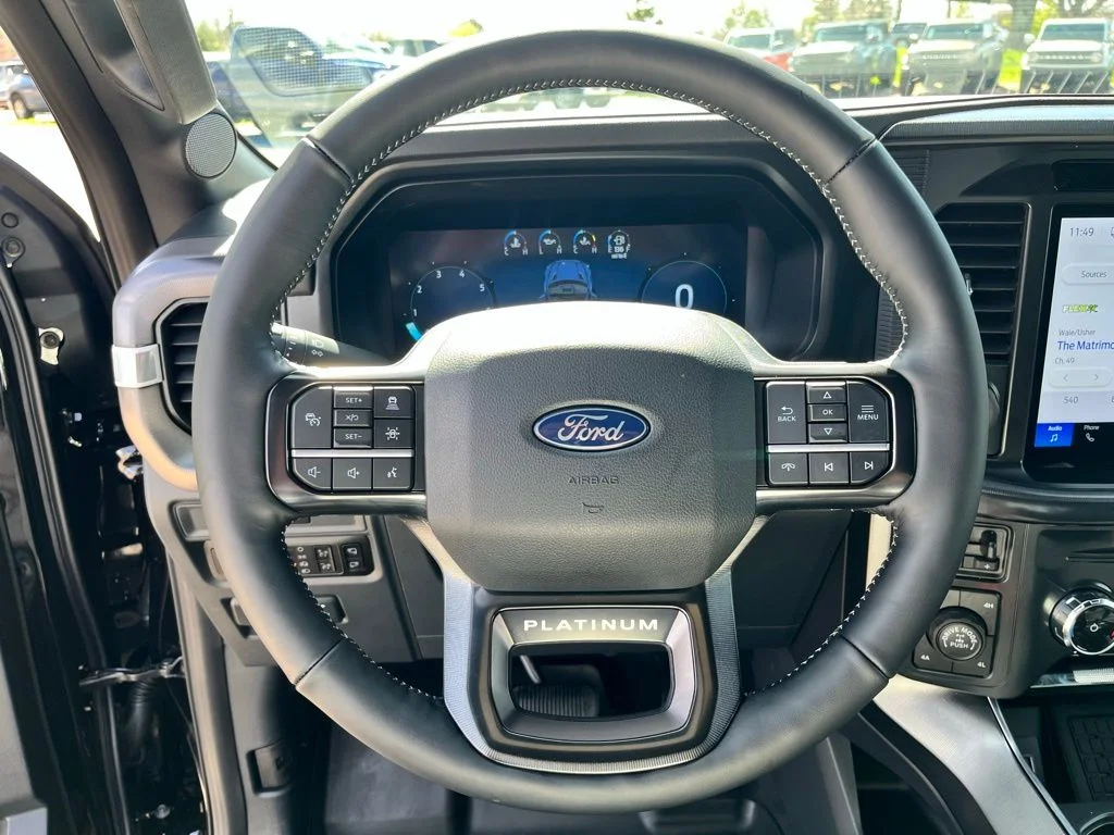 New 2026 Black Ford Platinum image 15