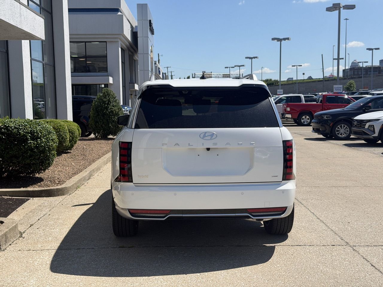 New 2026 Creamy White Pearl Hyundai Calligraphy image 6