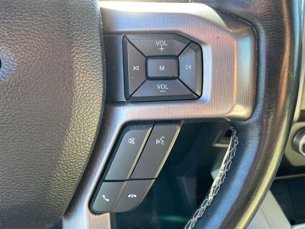 Used 2020 Agate Black Ford Platinum image 19