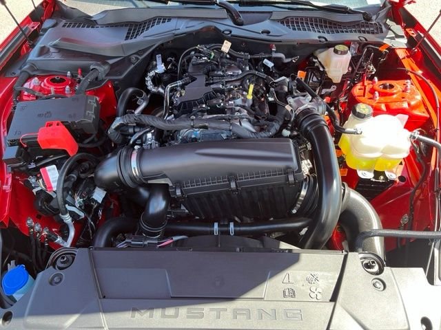 New 2026 Race Red Ford EcoBoost® Premium Fastback image 22