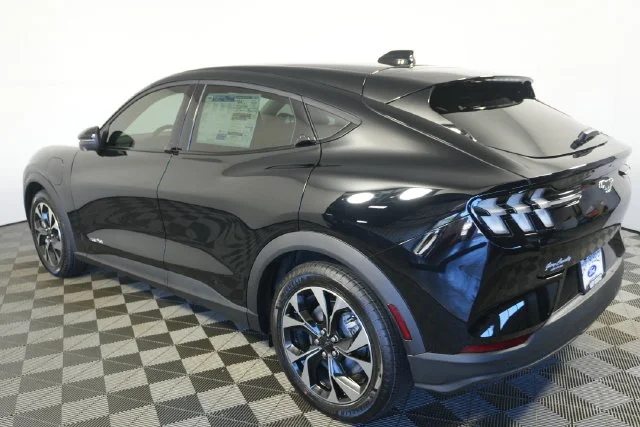 New 2026 Shadow Black Ford Select image 5