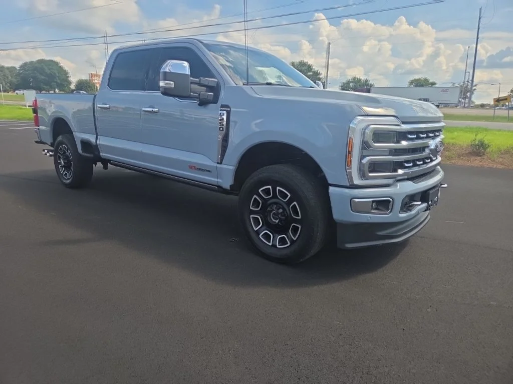 Used 2024 Gray Ford Platinum image 22