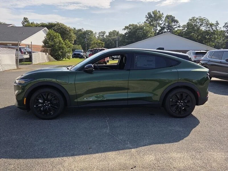 New 2026 Eruption Green Metallic Ford Select image 4