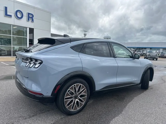 Used 2024 Glacier Gray Metallic Ford Premium image 17