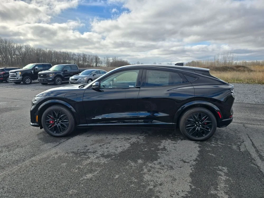 Used 2025 Black Ford Premium image 8
