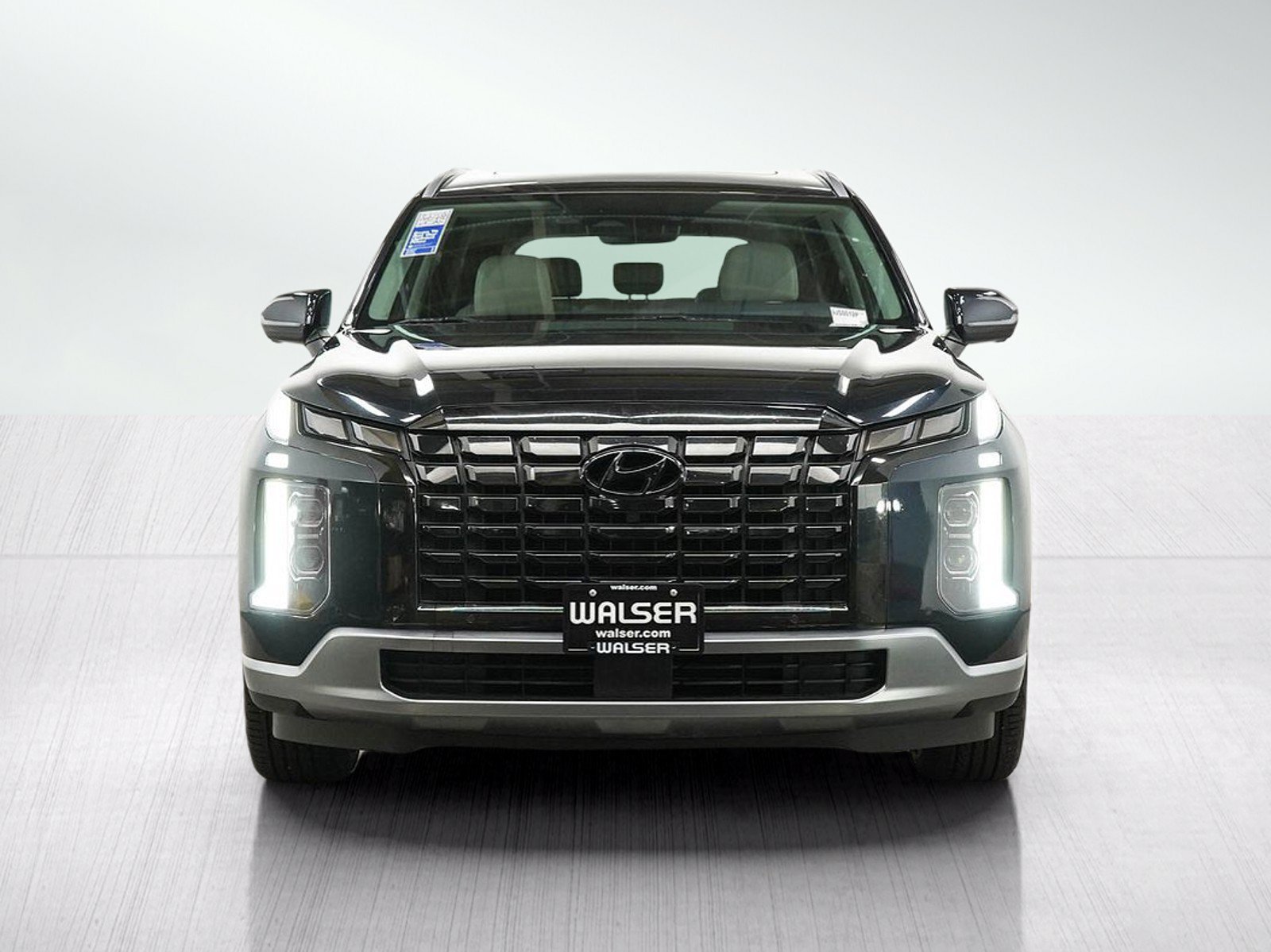 2024 Hyundai Palisade Limited - Photo 8