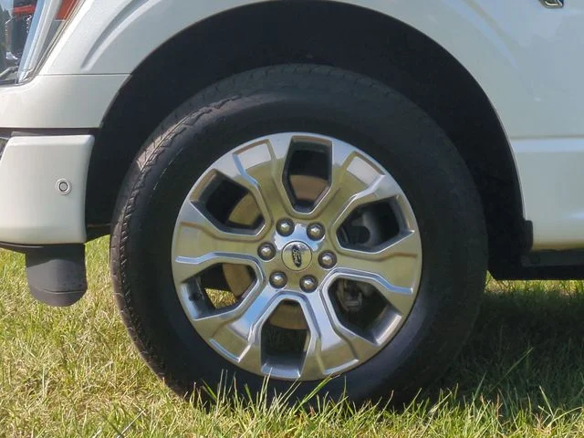 Used 2022 White Ford Platinum image 17