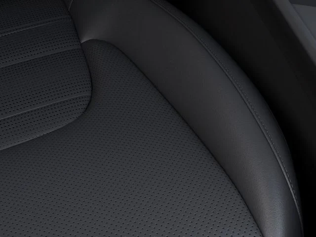 New 2026 Panthera Metal Kia SX Prestige image 24