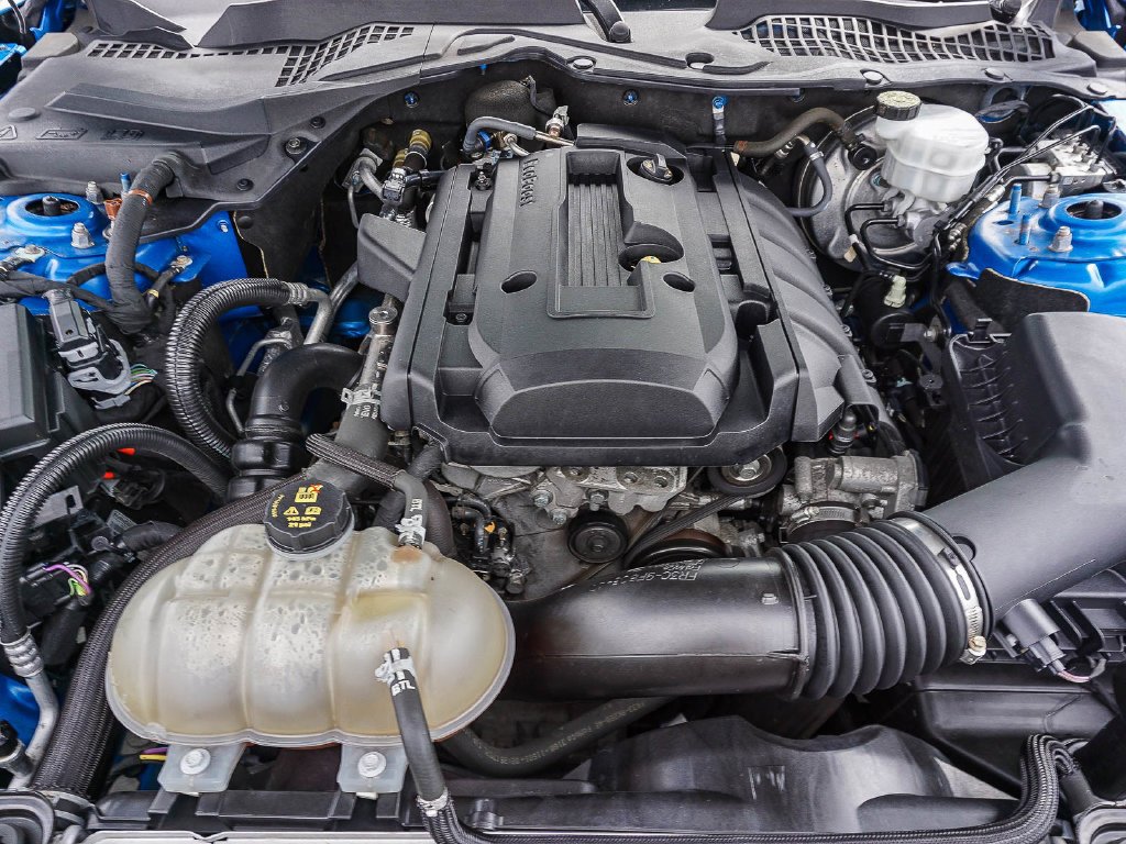Used 2019 Blue Ford EcoBoost Premium image 24