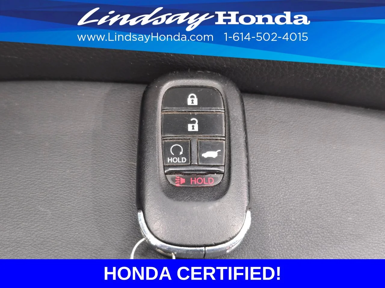 Certified Used 2024 Nordic Forest Pearl Honda Sport image 23