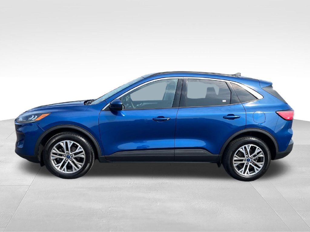 Used 2022 Blue Ford SEL image 2