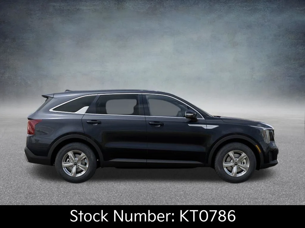 New 2026 Panthera Metal Kia LX image 7