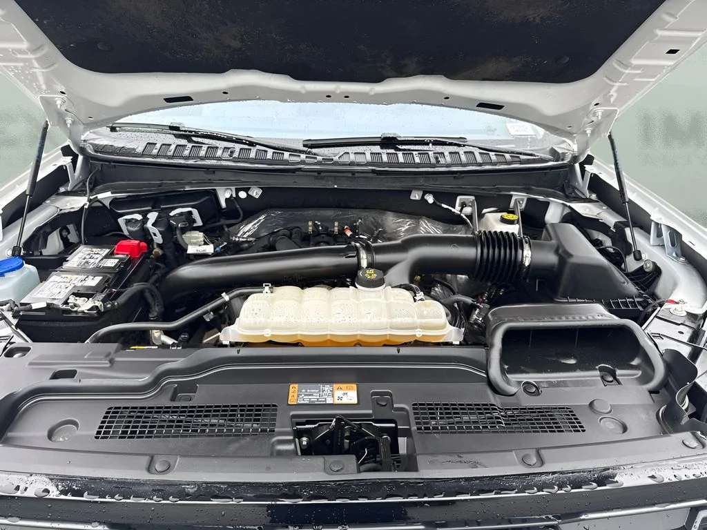 Used 2025 White Ford Active image 20