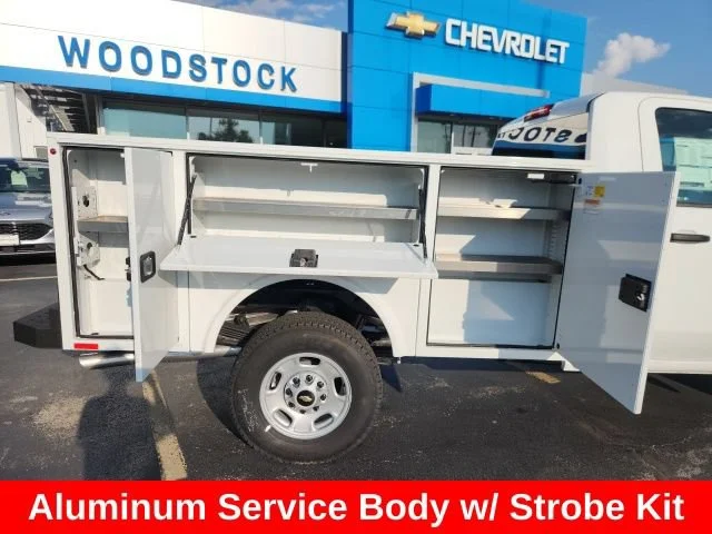 Used 2024 Summit White Chevrolet WT image 13