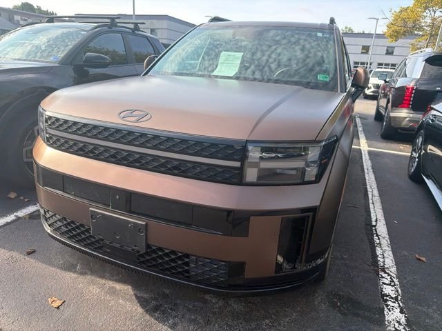 Used 2024 Earthy Brass Matte Hyundai Calligraphy image 4