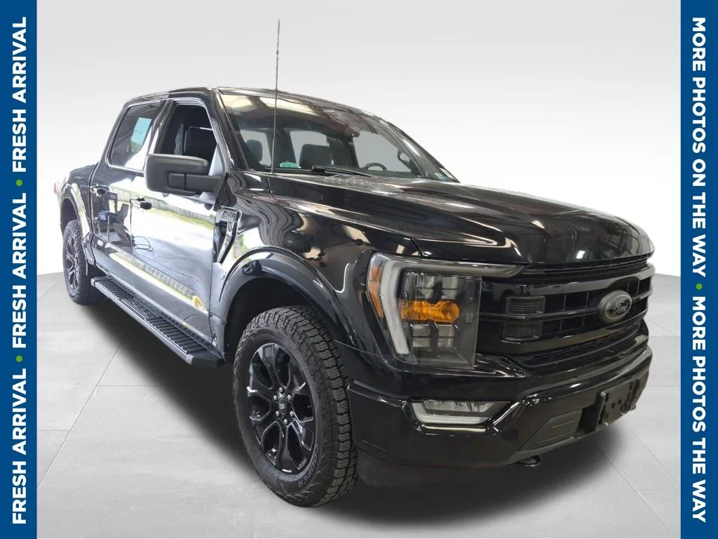 2023 Ford F-150 XLT 4x4 SuperCrew 145 in's photo