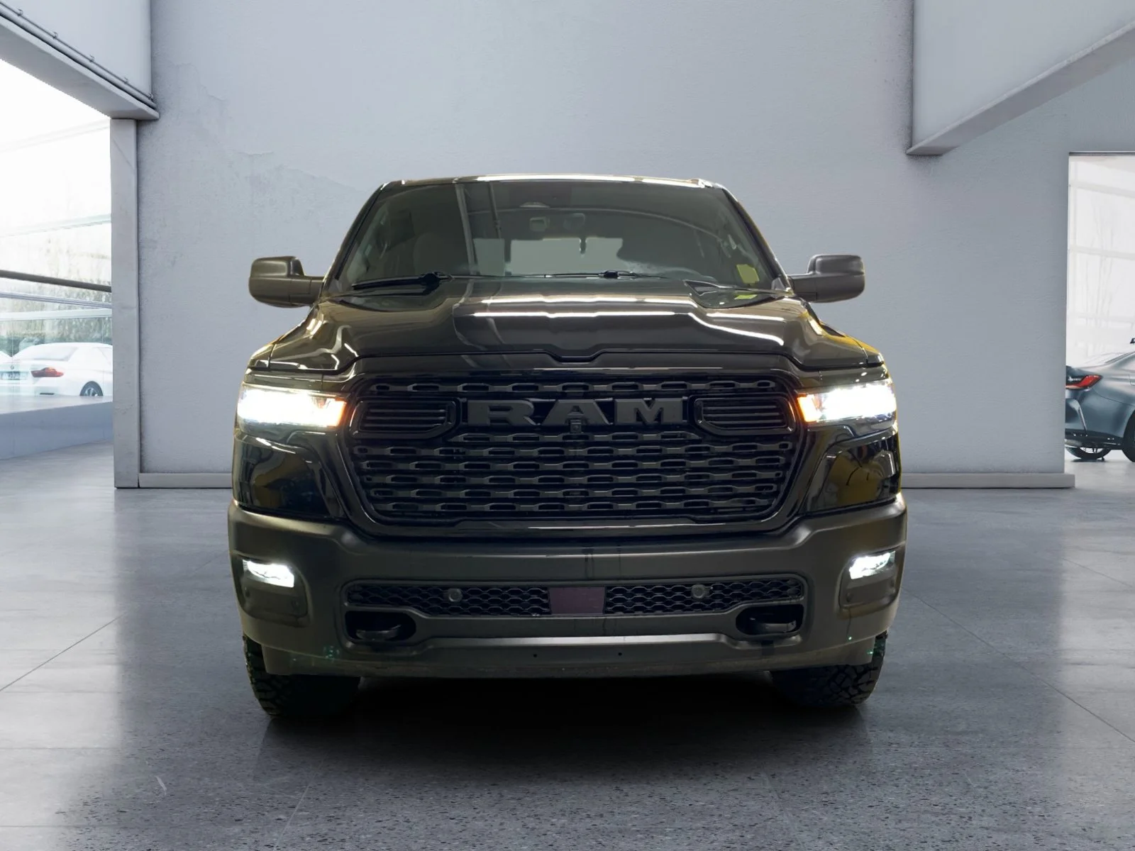 New 2026 Diamond Black Crystal Pearl Ram Warlock image 8