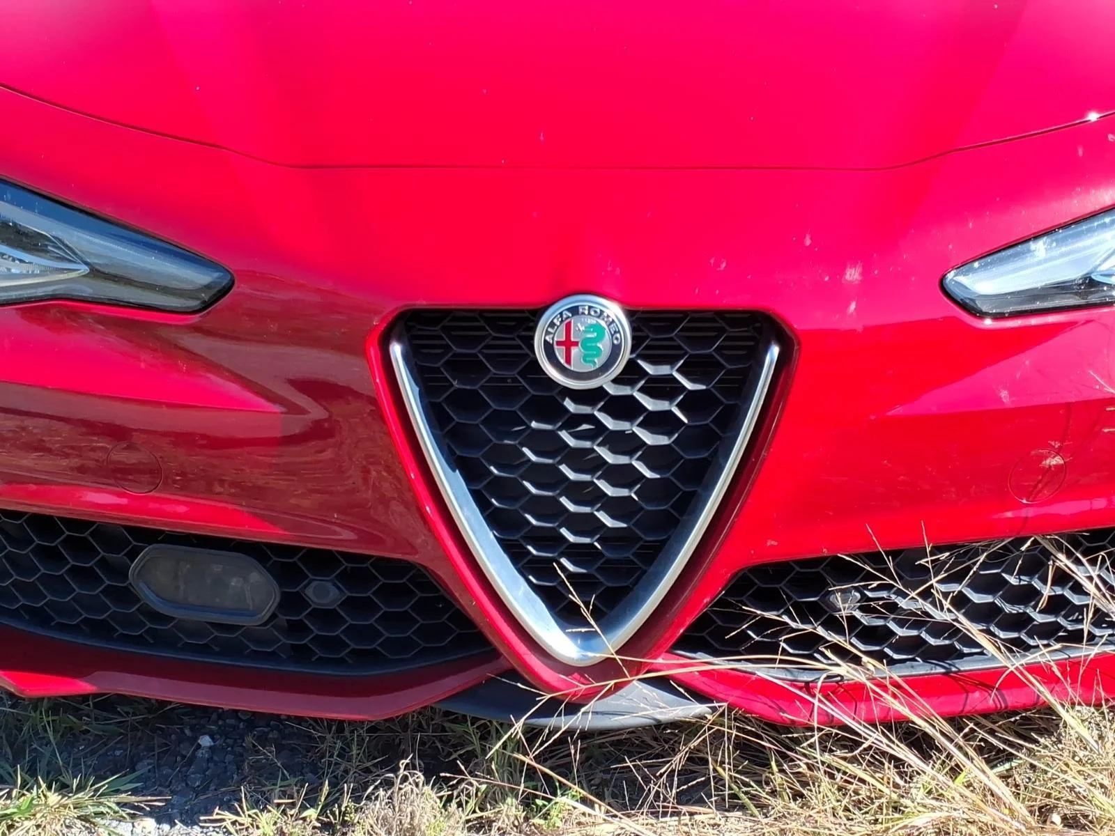 Used 2023 Alfa Rosso Alfa Romeo Ti image 5