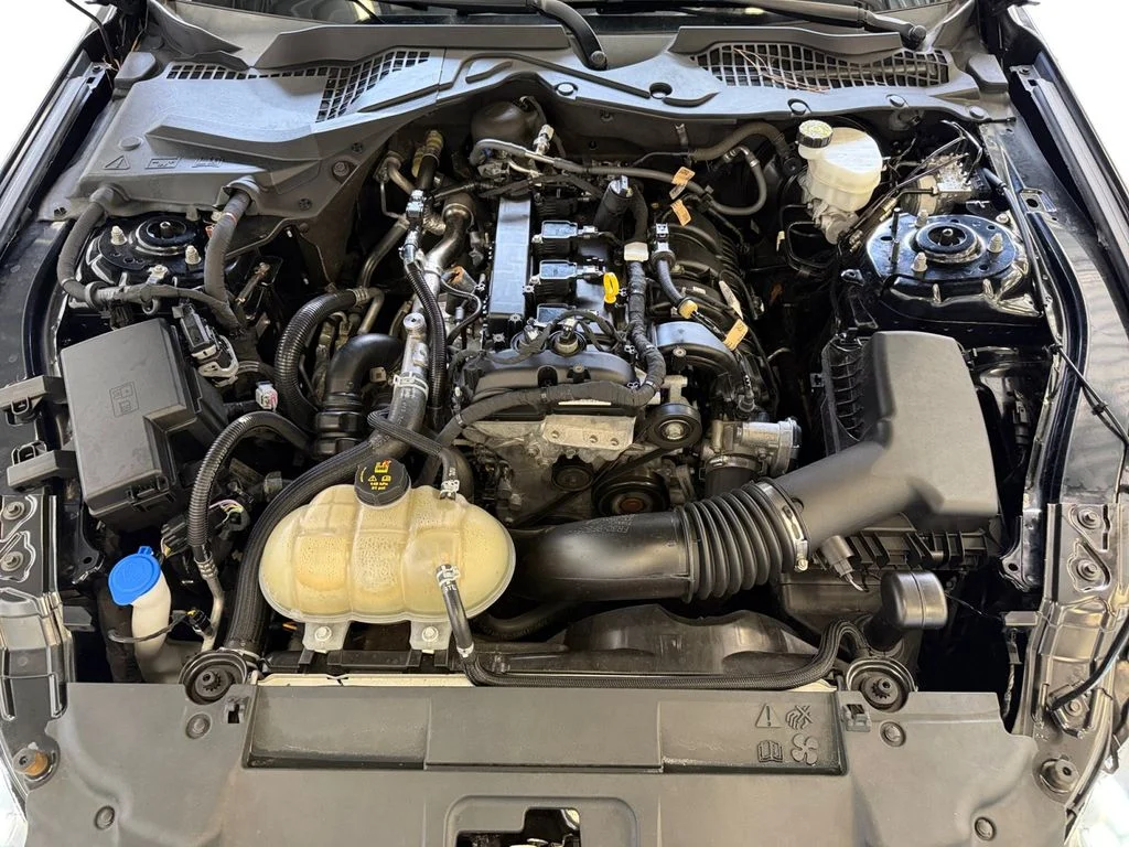 Used 2021 Black Ford EcoBoost image 14