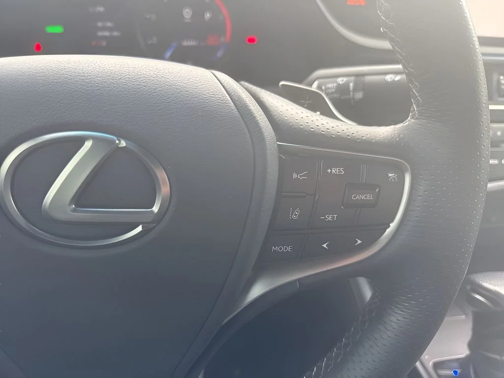 Used 2024 Gray Lexus 300h F SPORT Handling image 17