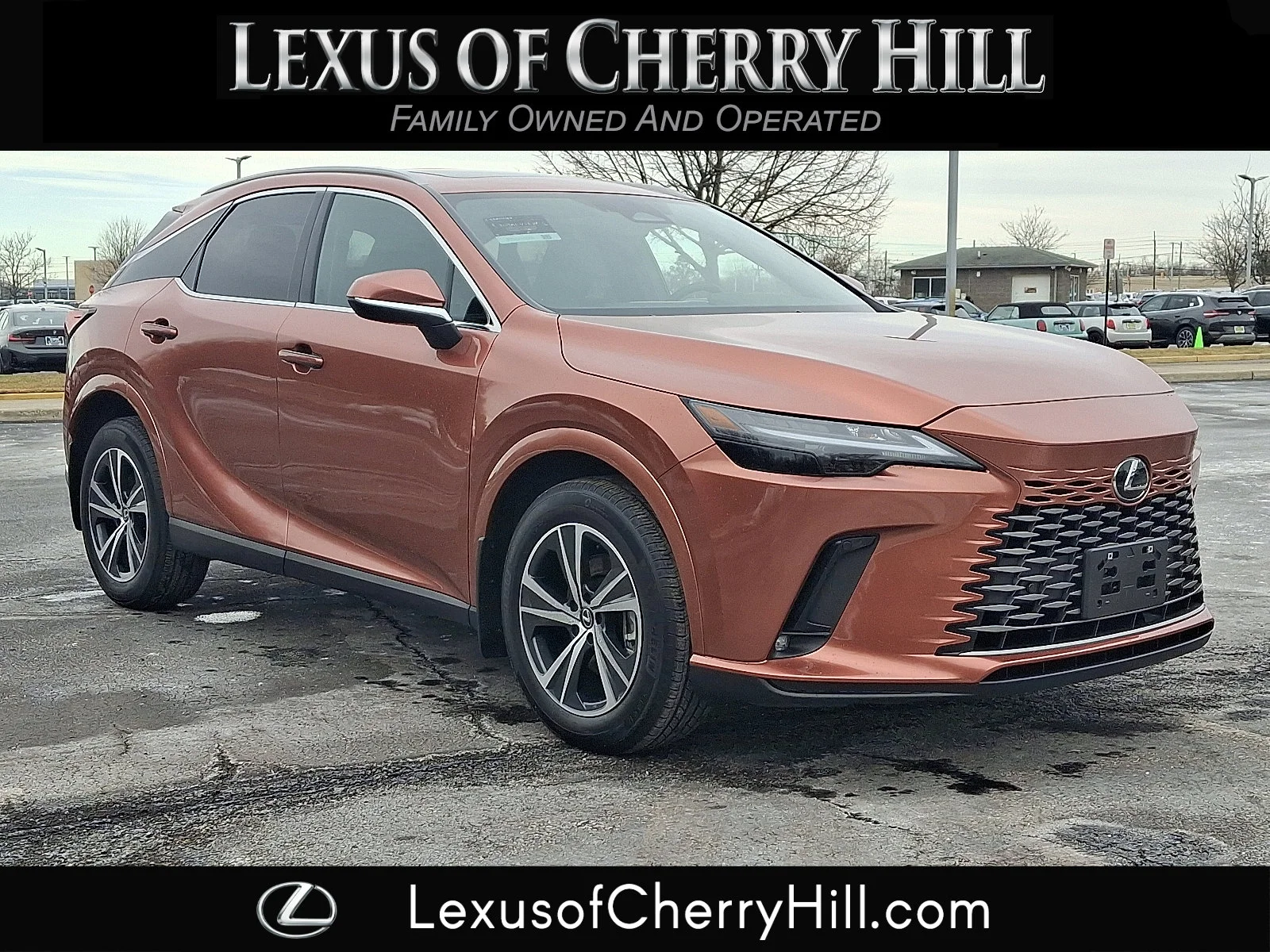 2025 Lexus RX 350 350 Premium Plus AWD's photo