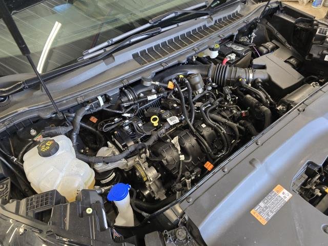 Used 2024 Green FORD SEL image 31