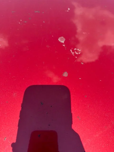 Used 2018 Red Toyota SR5 image 9