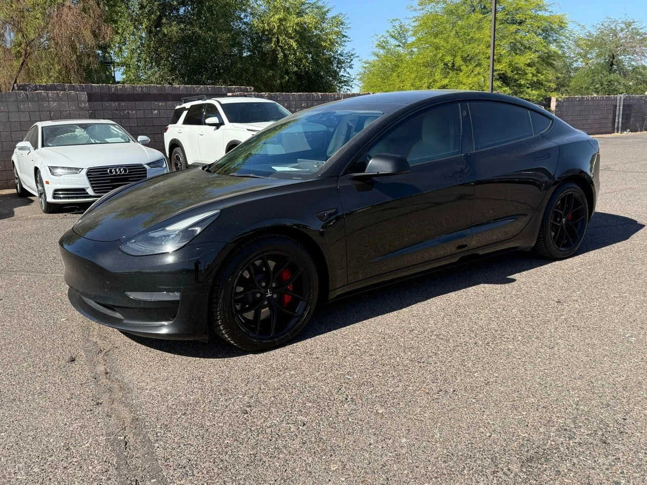 2022 Tesla Model 3's photo