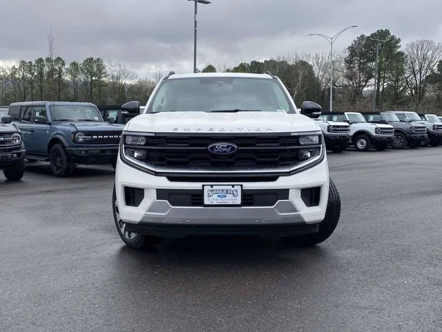 New 2025 White Ford Platinum image 8