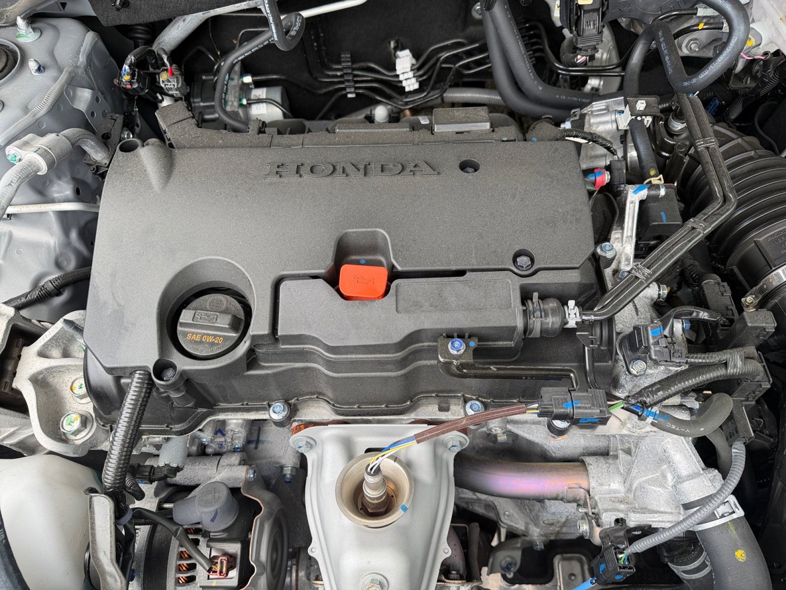 Used 2025 Urban Gray Pearl Honda Sport image 7
