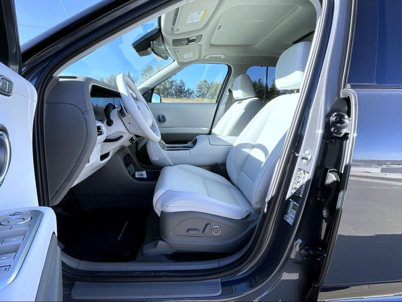 2026 Hyundai Palisade Limited - Photo 10