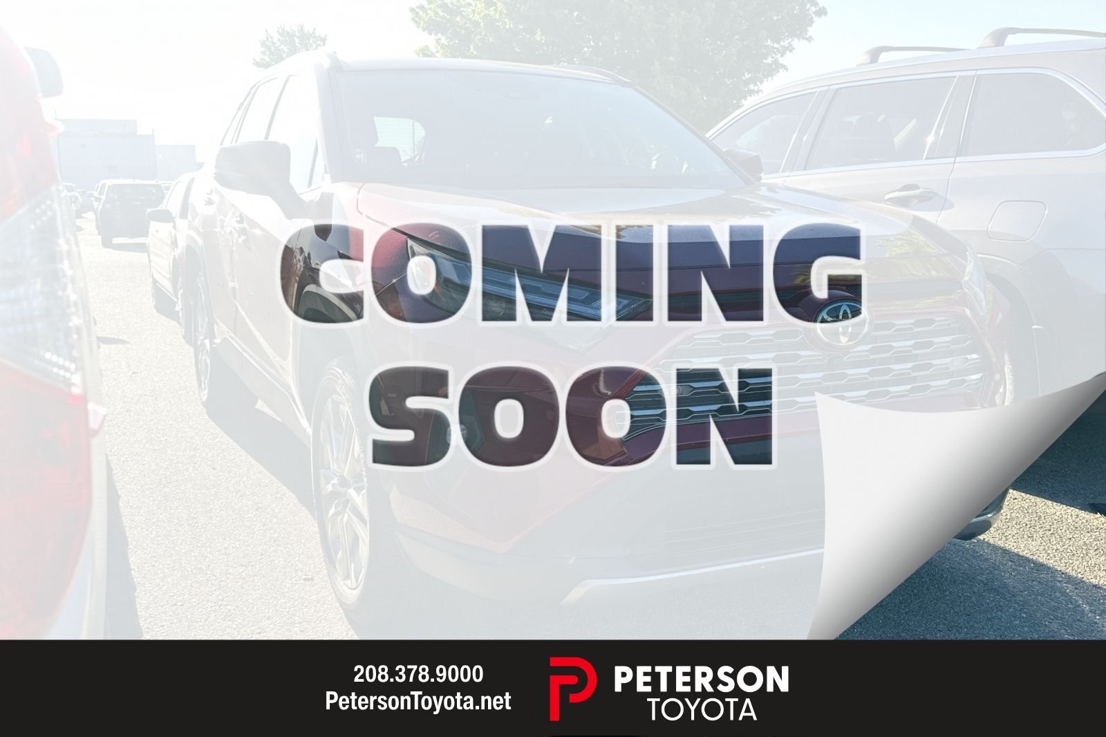 2024 Toyota RAV4 Limited AWD's photo