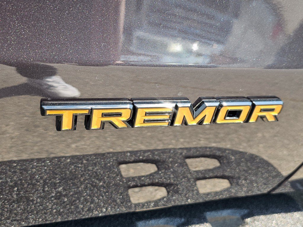 New 2026 Dark Matter Gray Metallic Ford Tremor image 21