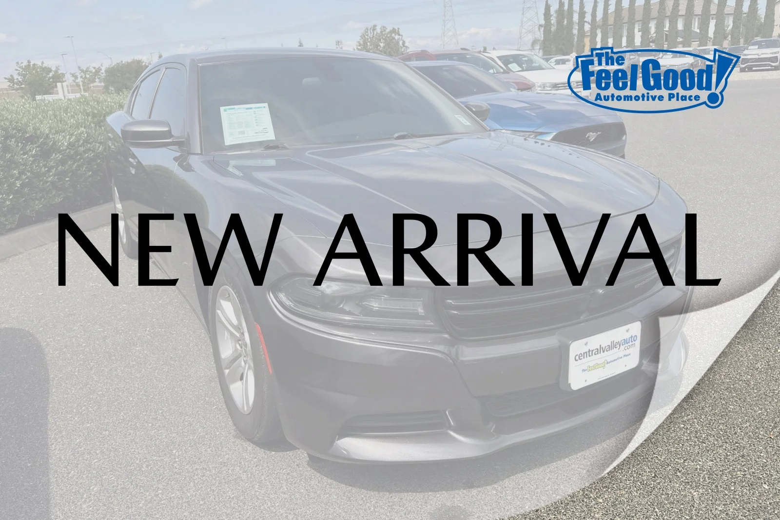 2021 Dodge Charger SXT's photo