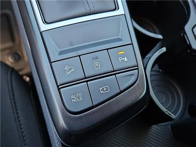 New 2026 Panthera Metal KIA LX Front-Wheel Drive image 13