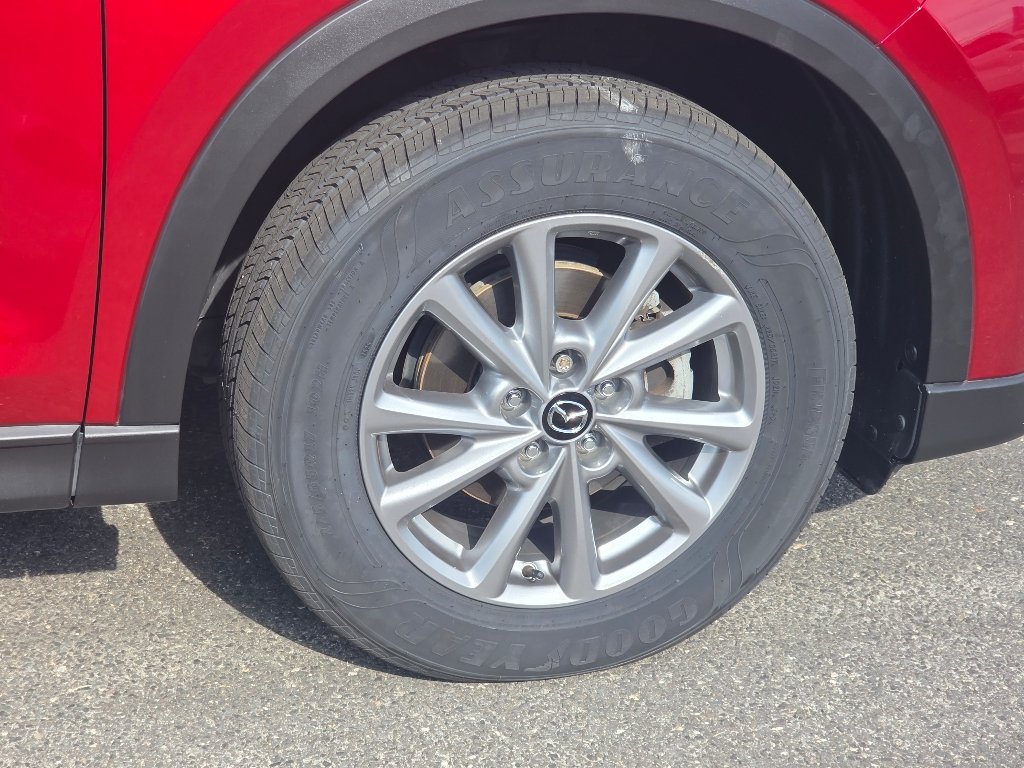 Photo 19