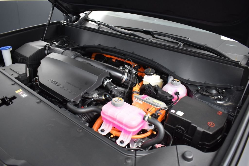 New 2027 Panthera Metal Kia X-LINE SX PRESTIGE image 24