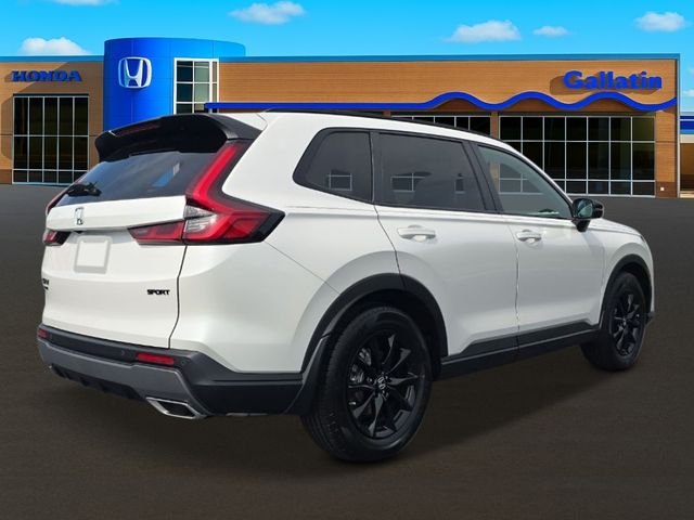 New 2026 Platinum White Pearl Honda Sport-L image 5