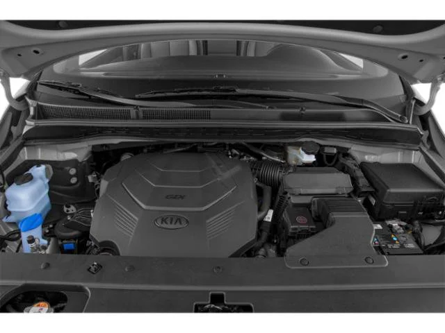 Used 2020 Pantera Metal Kia EX image 15