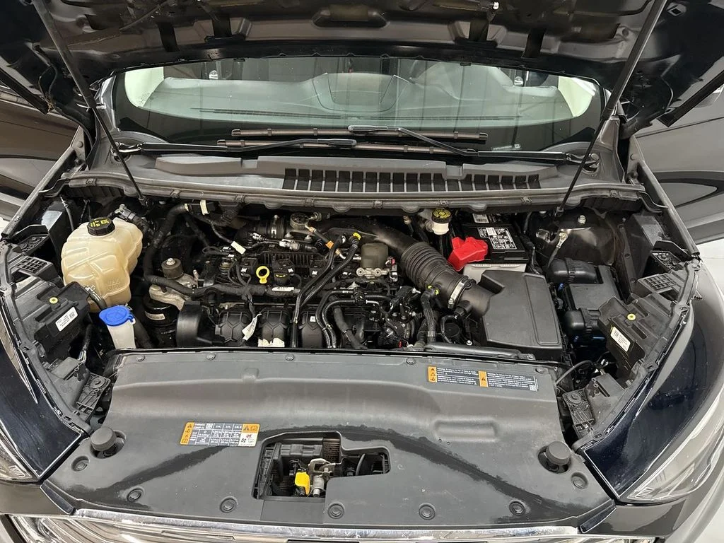 Used 2019 Agate Black Metallic Ford SEL image 11