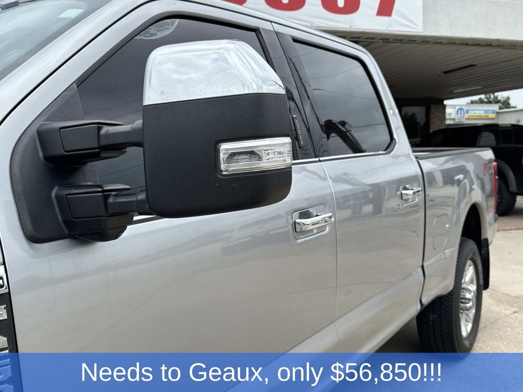Used 2020 Silver Ford Platinum image 8