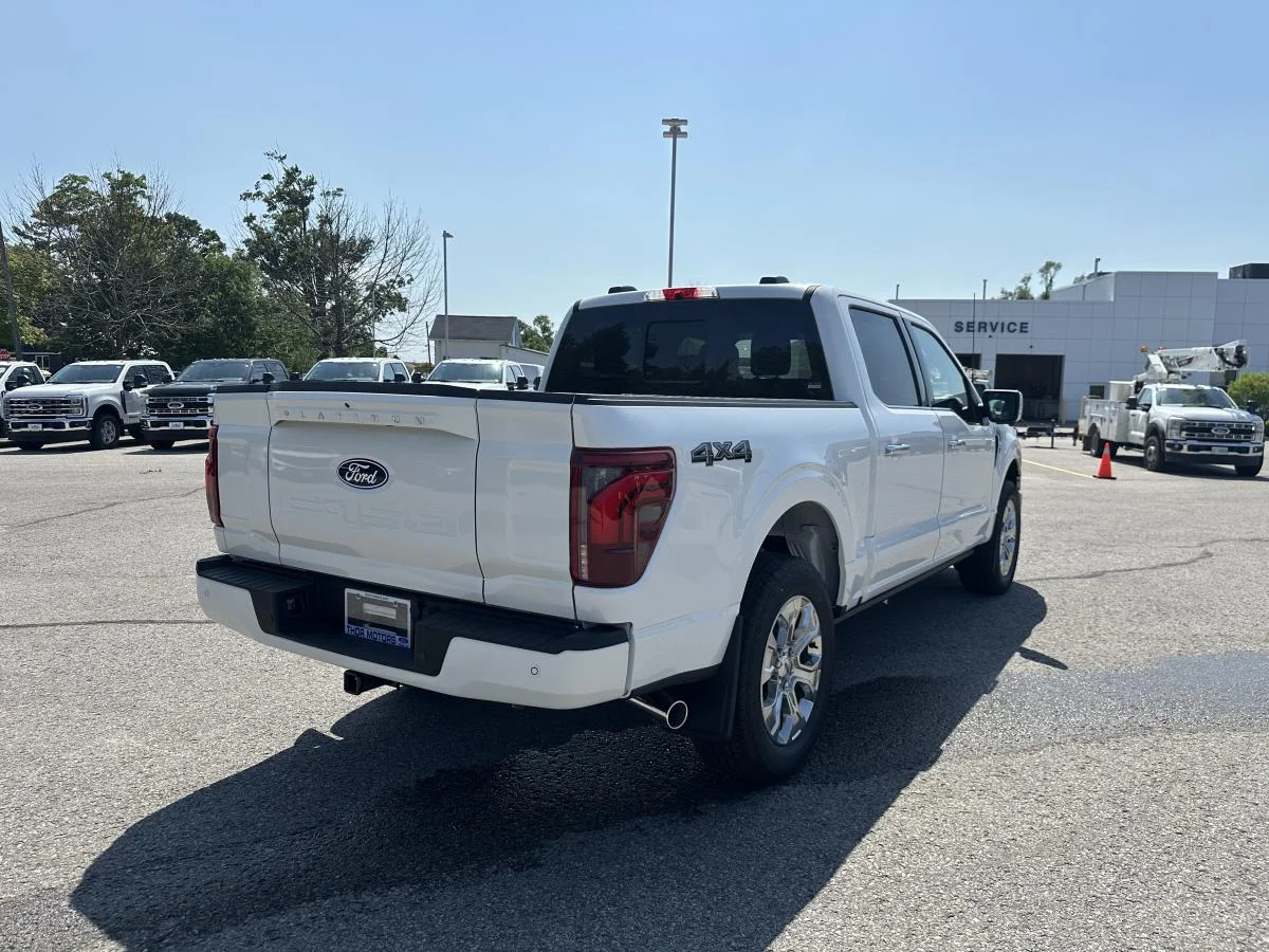 New 2026 White Ford Platinum image 5