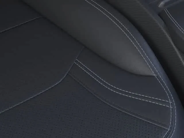 New 2026 Shadow Black Ford Premium image 20