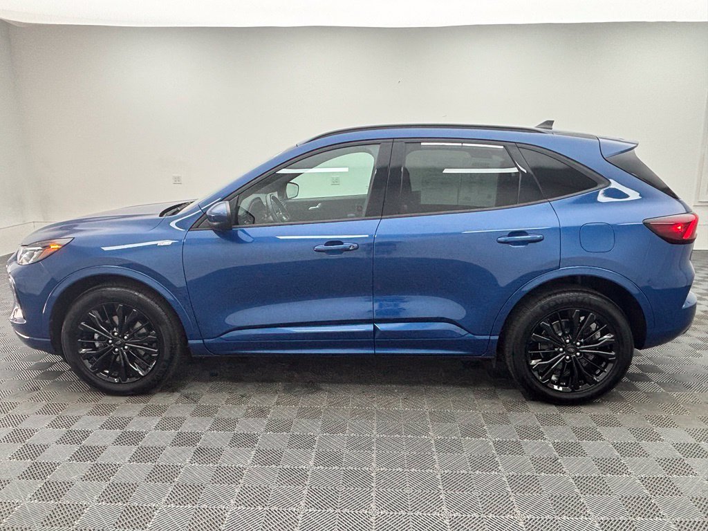 Used 2023 Blue Ford ST-Line Elite image 12