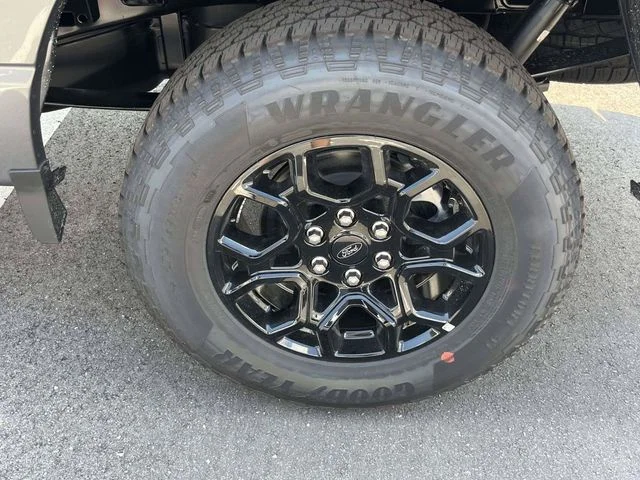 New 2026 Gray Ford STX image 7
