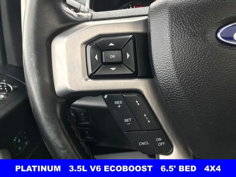 Certified Used 2020 Magnetic Metallic Ford Platinum image 10