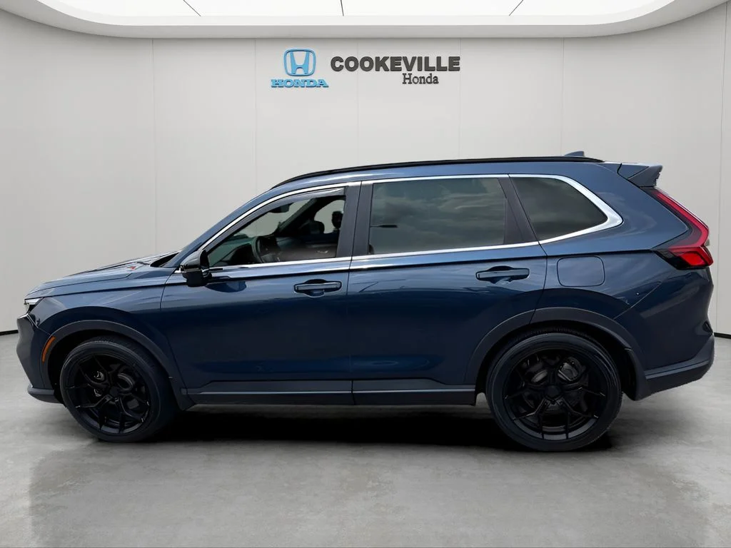 Used 2023 Canyon River Blue Metallic Honda Sport image 12