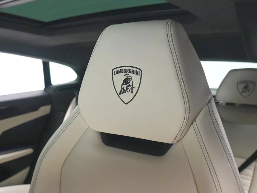 New 2026 Nero Nemesis Matt Lamborghini SE image 19