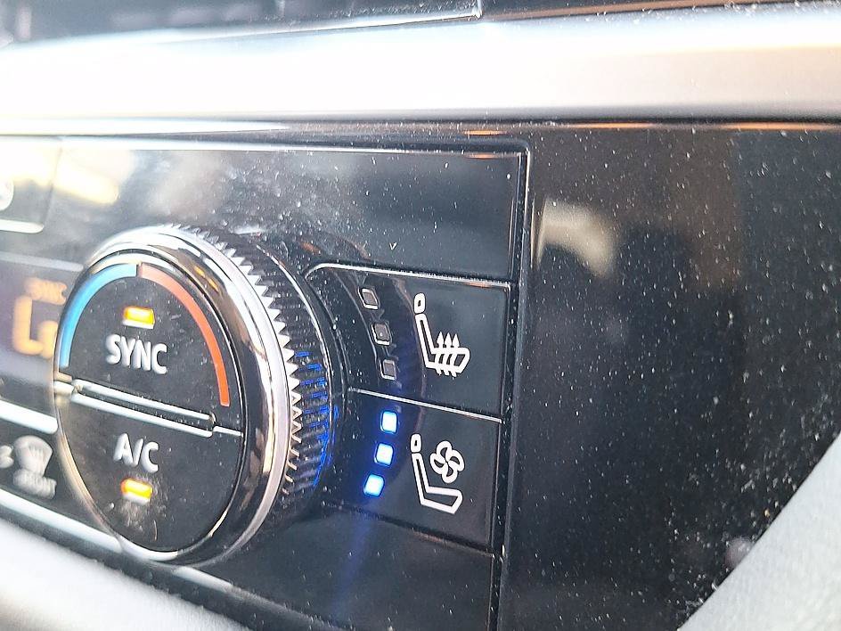 Used 2025 Gun Metallic Nissan Platinum image 29